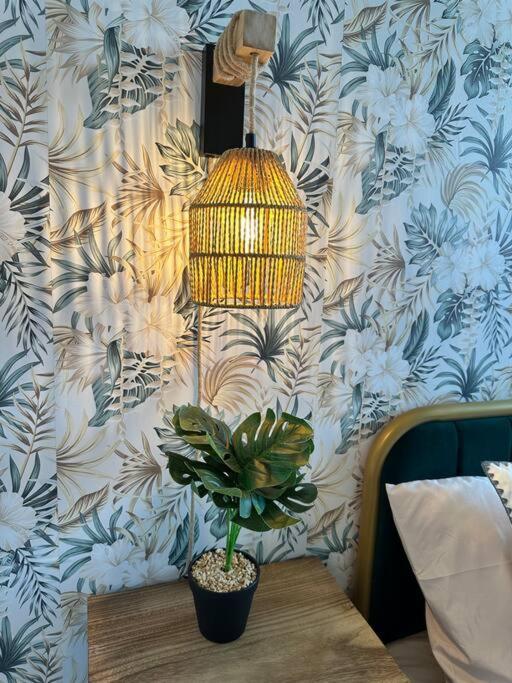Home Haven, Walk To Little Italy & Wooster Square 纽黑文 外观 照片