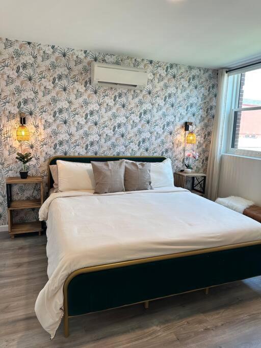 Home Haven, Walk To Little Italy & Wooster Square 纽黑文 外观 照片